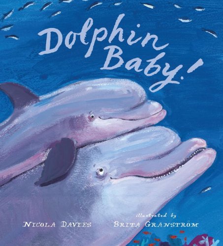 9780763655488: Dolphin Baby! (Read and Wonder)