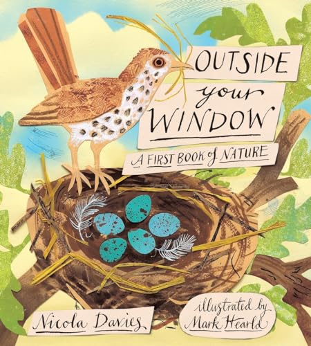 9780763655495: Outside Your Window: A First Book of Nature