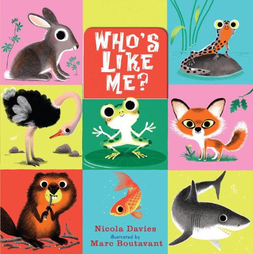 Imagen de archivo de Who's Like Me? (Flip the Flap and Find Out) a la venta por Half Price Books Inc.