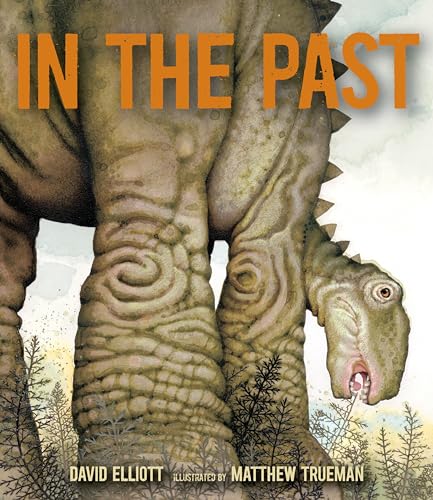 Stock image for In the Past : From Trilobites to Dinosaurs to Mammoths in More Than 500 Million Years for sale by Better World Books