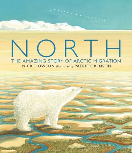 Stock image for North: The Amazing Story of Arctic Migration for sale by AwesomeBooks