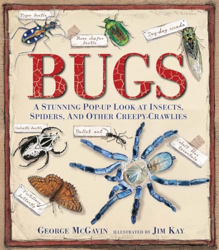 Beispielbild fr Bugs: A Stunning Pop-up Look at Insects, Spiders, and Other Creepy-Crawlies zum Verkauf von Ergodebooks
