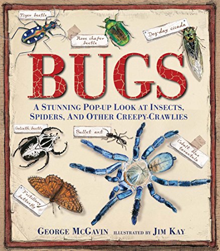 9780763667627: Bugs: A Stunning Pop-up Look at Insects, Spiders, and Other Creepy-Crawlies
