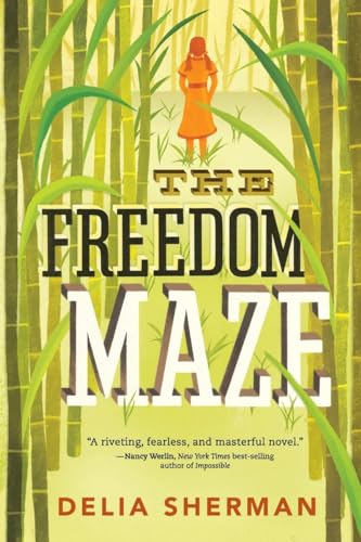 Stock image for The Freedom Maze for sale by HPB-Ruby