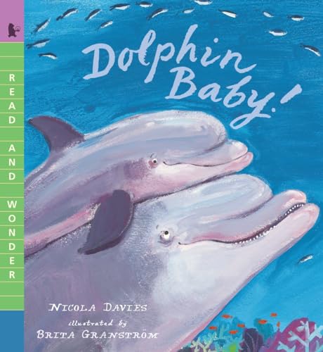 9780763670481: Dolphin Baby!: Read and Wonder