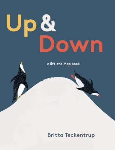 9780763671297: Up & Down: A Lift-The-Flap Book
