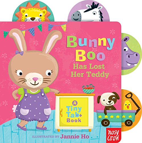 Imagen de archivo de Bunny Boo Has Lost Her Teddy: A Tiny Tab Book a la venta por OwlsBooks