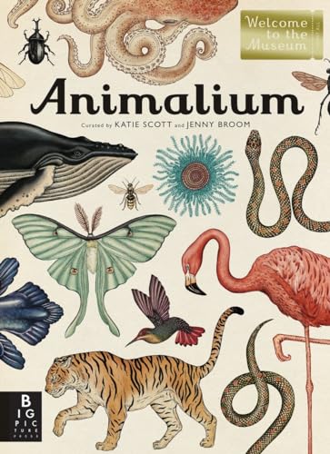 Stock image for Animalium: Welcome to the Museum for sale by BooksRun