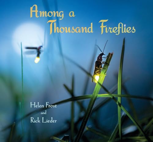 Beispielbild fr Among a Thousand Fireflies zum Verkauf von SecondSale