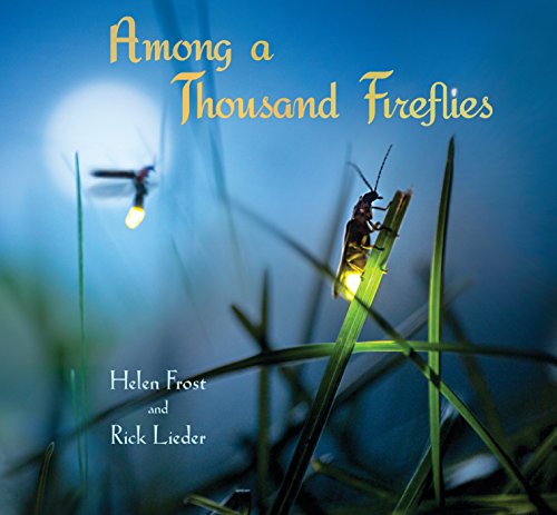 9780763676421: Among a Thousand Fireflies