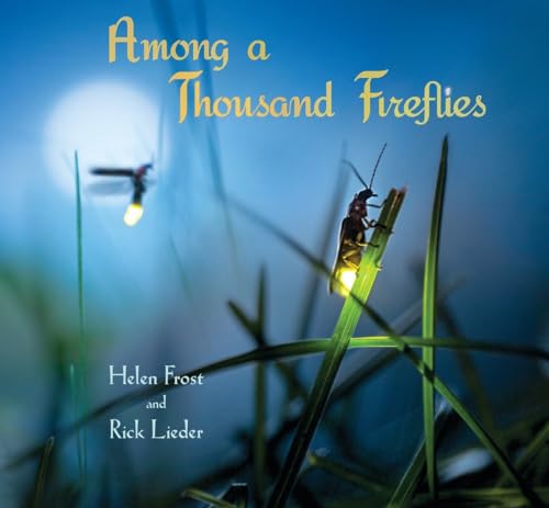 Imagen de archivo de Among a Thousand Fireflies a la venta por Better World Books: West