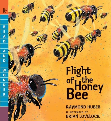 Stock image for Flight of the Honey Bee (Read and Wonder) for sale by Half Price Books Inc.