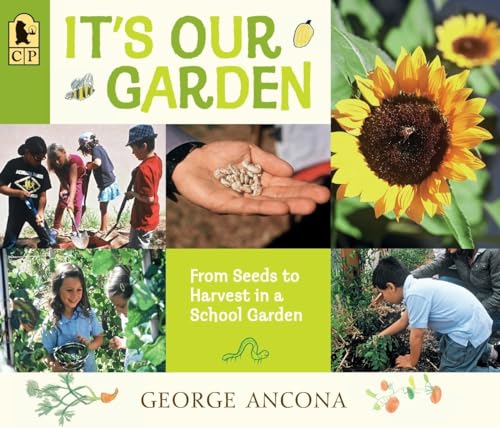9780763676919: It's Our Garden: From Seeds to Harvest in a School Garden