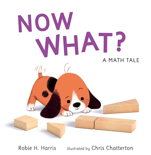 Stock image for Now What? A Math Tale for sale by Better World Books