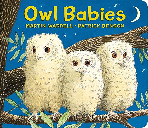 9780763679613: Owl Babies