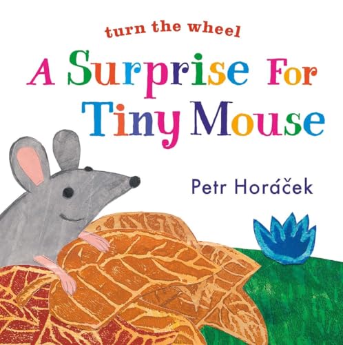 9780763679675: A Surprise for Tiny Mouse