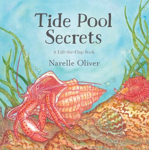 Stock image for Tide Pool Secrets for sale by Better World Books