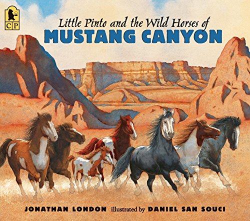Stock image for Little Pinto and the Wild Horses Of Mustang Canyon for sale by HPB-Movies