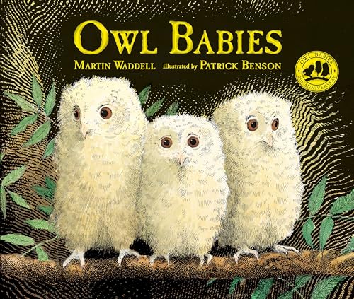 Beispielbild fr Owl Babies zum Verkauf von Blackwell's