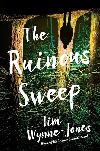 Stock image for The Ruinous Sweep for sale by Better World Books: West