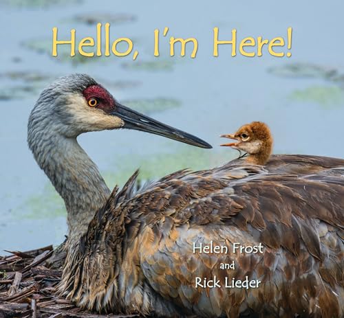 Stock image for Hello, I'm Here! (Hardcover) for sale by Grand Eagle Retail