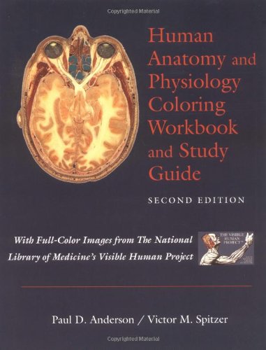 Beispielbild fr Human Anatomy and Physiology Coloring Workbook and Study Guide zum Verkauf von Bargain Treasures