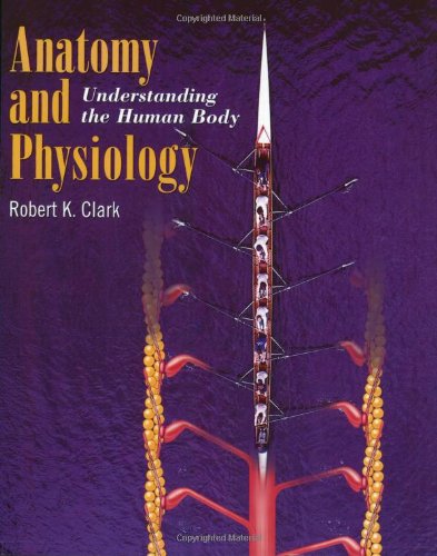 Stock image for Anatomy and Physiology: Understanding the Human Body for sale by Discover Books
