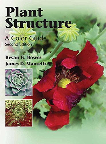 9780763763862: Plant Structure: A Colour Guide
