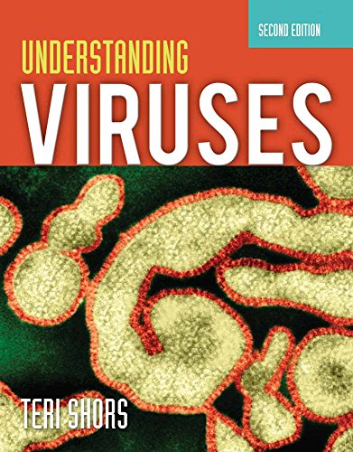 9780763785536: Understanding Viruses