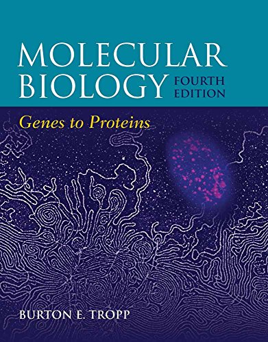 9780763786632: Molecular Biology: Genes to Proteins