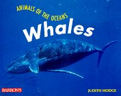 Stock image for Whales (Animals of the Oceans) for sale by Newsboy Books