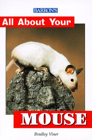 Stock image for All About Your Mouse (All About Your Series) for sale by Wonder Book