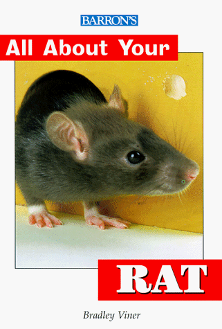 Stock image for All about Your Rat (All about Your Pet) for sale by Ergodebooks