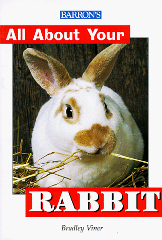 Imagen de archivo de All About Your Rabbit (All about Your Pet) a la venta por Wonder Book