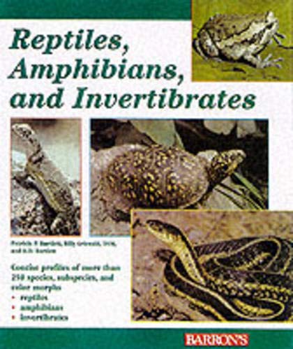 9780764116506: Reptiles, Amphibians and Invertebrates: An Identification and Care Guide