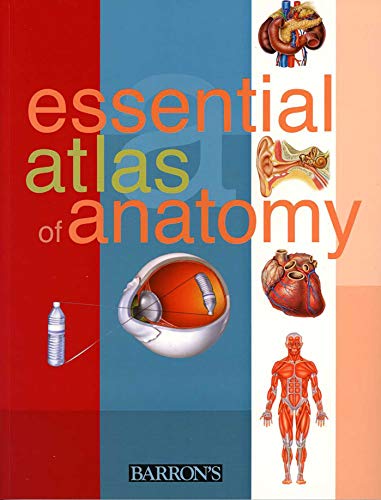 Beispielbild fr Essential Atlas of Anatomy zum Verkauf von More Than Words