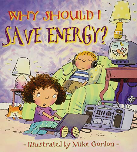 Stock image for Why Should I Save Energy? for sale by More Than Words