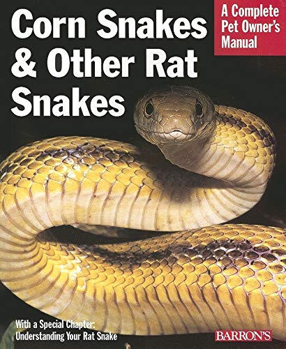 Imagen de archivo de Corn Snakes & Other Rat Snakes (Complete Pet Owner's Manuals) a la venta por SecondSale