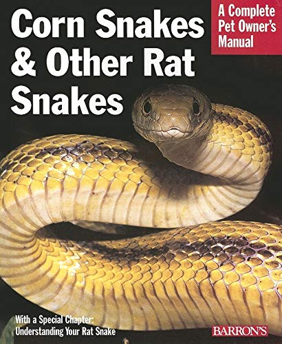 9780764134074: Corn Snakes And Other Rat Snakes