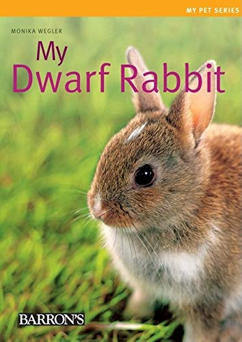 Stock image for My Dwarf Rabbit (My Pet Series) for sale by SecondSale