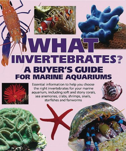 What Invertebrates?: A Buyer's Guide for Marine Aquariums (What Pet? Books) (9780764137419) by Lougher, Tristan