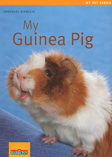 Beispielbild fr My Guinea Pig (My Pet Series) zum Verkauf von SecondSale