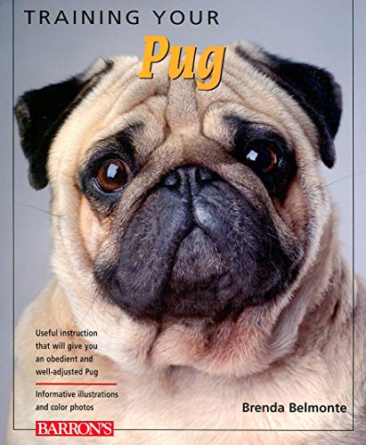 Stock image for Training Your Pug (Training Your Dog Series) for sale by Wonder Book