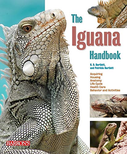 Stock image for Iguana Handbook (Barron's Pet Handbooks) for sale by HPB Inc.