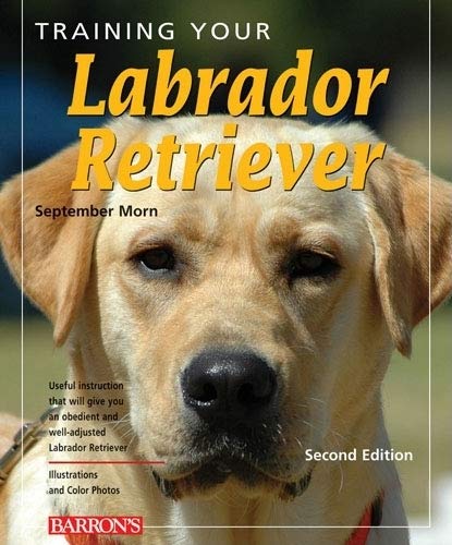 Stock image for Training Your Labrador Retriever (Training Your Dog Series) for sale by SecondSale