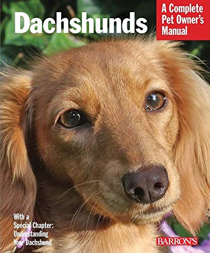 Imagen de archivo de Dachshunds a la venta por Better World Books