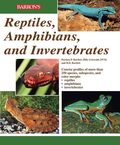 Reptiles, Amphibians, and Invertebrates: An Identification and Care Guide (9780764143564) by Bartlett, R. D.; Bartlett, Patricia; Griswold, Billy