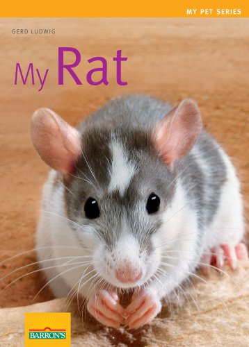 Stock image for My Rat (My Pet (Barron's)) for sale by Wonder Book