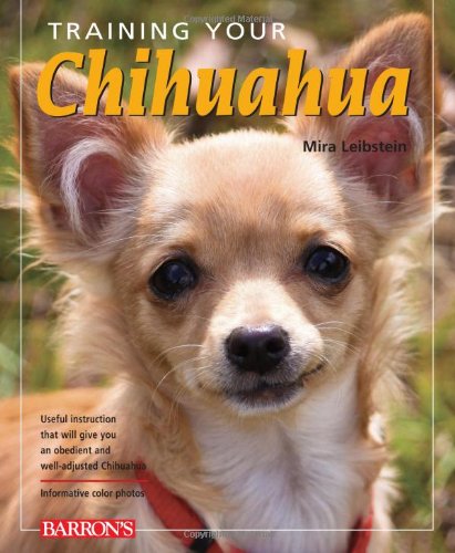 Beispielbild fr Training Your Chihuahua (Training Your Dog Series) zum Verkauf von BooksRun