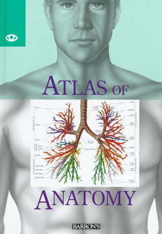 Beispielbild fr Atlas of Anatomy zum Verkauf von More Than Words
